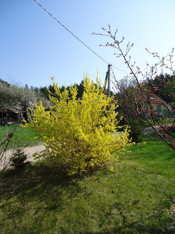 Homestay Roja Vilnius Eksteriør billede