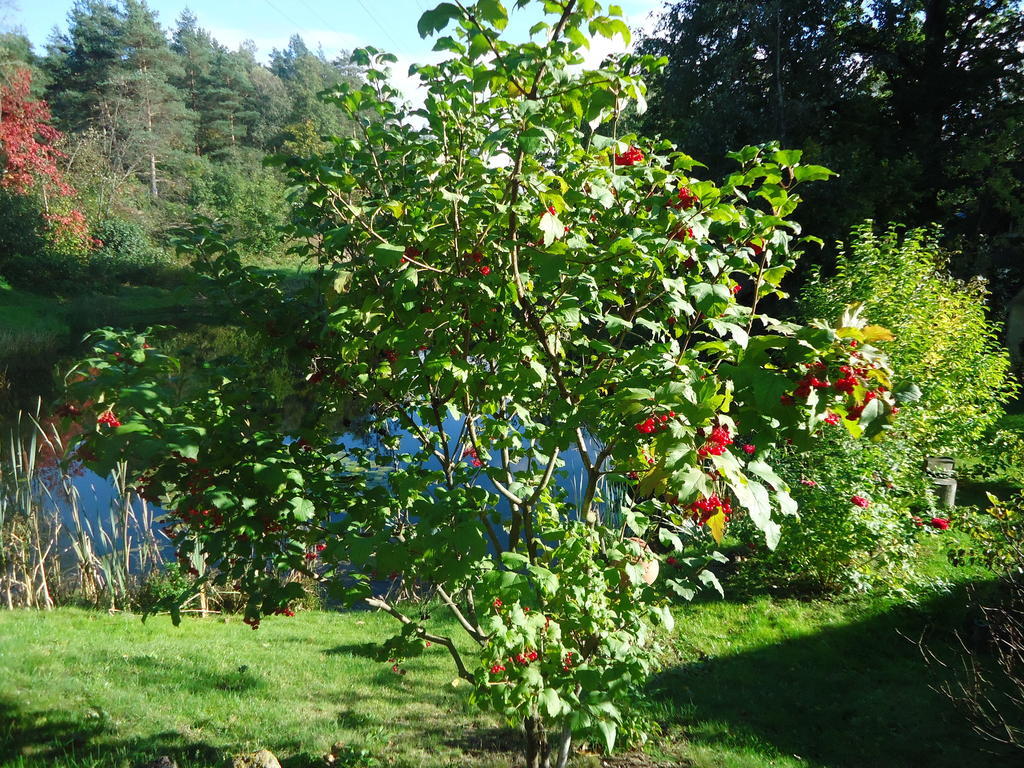 Homestay Roja Vilnius Eksteriør billede